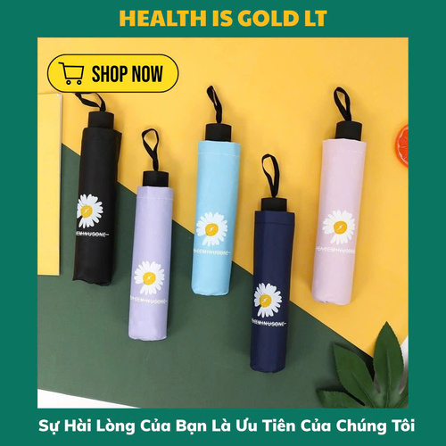 Dù Hoa Cúc Họa Mi Gấp Gọn Thời Trang Che Nắng Mưa Chống Tia UV Hàn Quốc